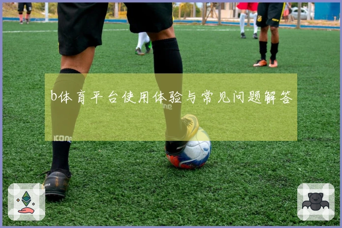 b体育平台使用体验与常见问题解答