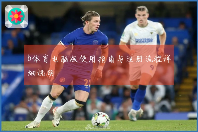 b体育电脑版使用指南与注册流程详细说明