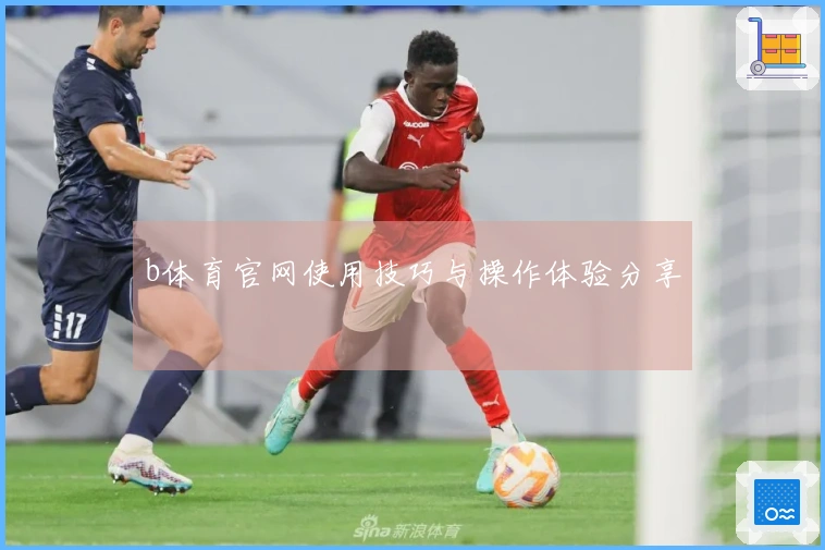 b体育官网使用技巧与操作体验分享